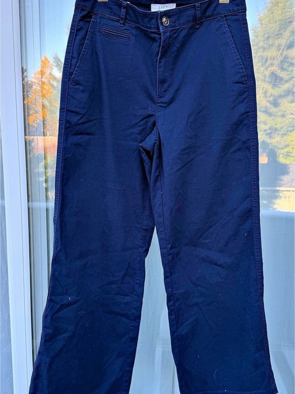 LOFT The Monroe Wide Leg Wide Leg Pants in Blue Size 6 Like New